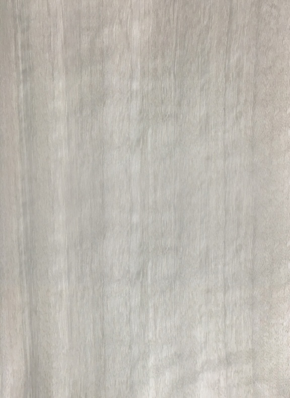 大自然木门：天然J9九游木皮让新中式木门美得更自然！(图2)